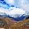 1612865556 aa.jpg?w=60&h=60&dpr=1